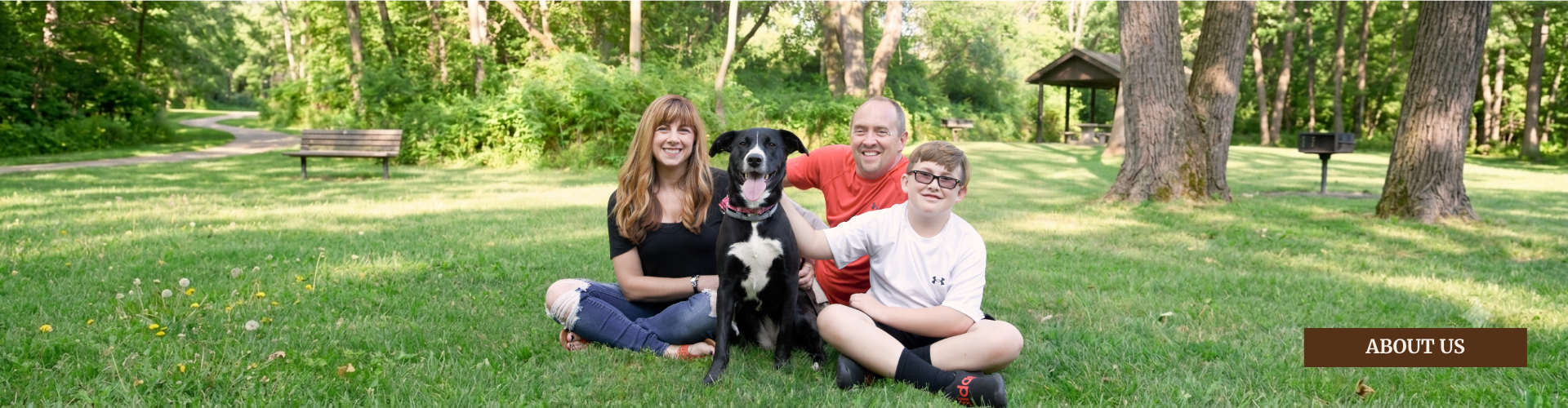 About Sit n' Stay Professional Dog Training - dog walking, pet sitting, dog training